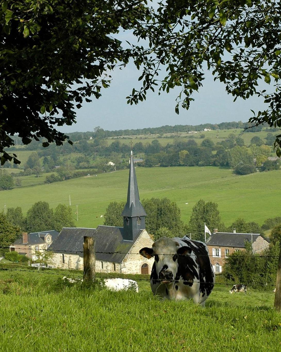 Gite "Le Refuge" Dans Un Domaine De 7Ha Au Calme Vimoutiers Luaran gambar